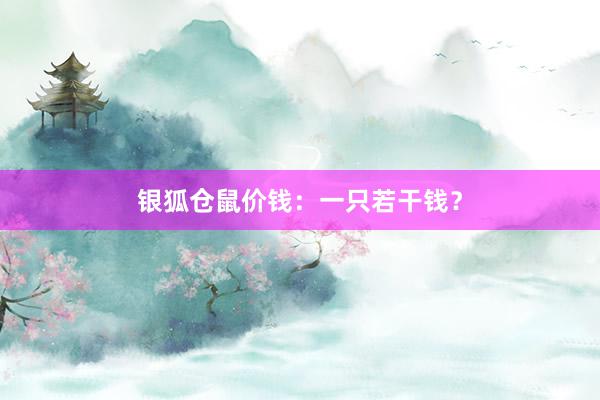 银狐仓鼠价钱:一只若干钱?